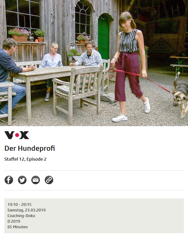 hundeprofi-srf.PNG