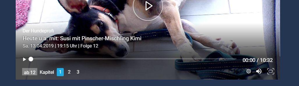 Heute u.a. mit  Susi mit Pinscher-Mischling Kimi - Der Hundeprofi - April 2019 im Online Stream   TVNOW.jpg