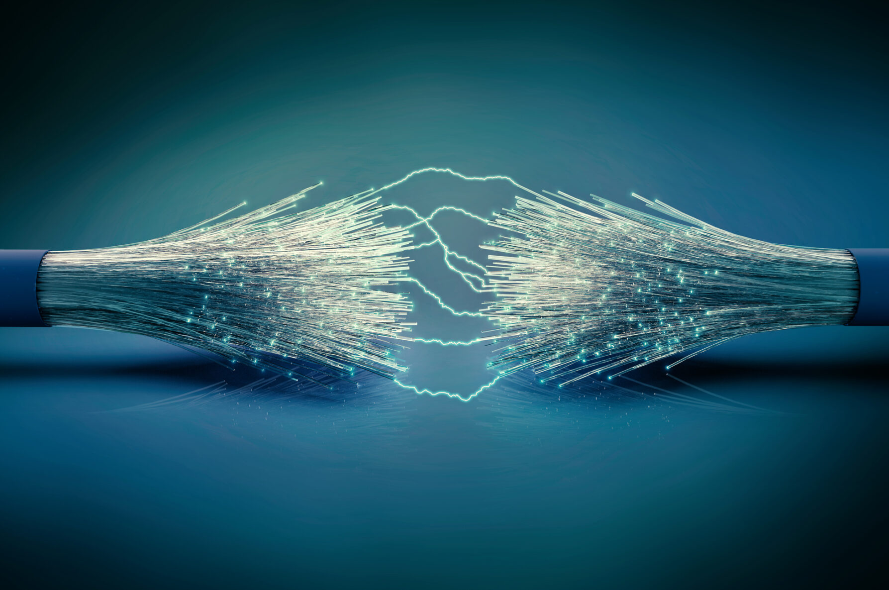 fibercut.jpg fibercut.jpg